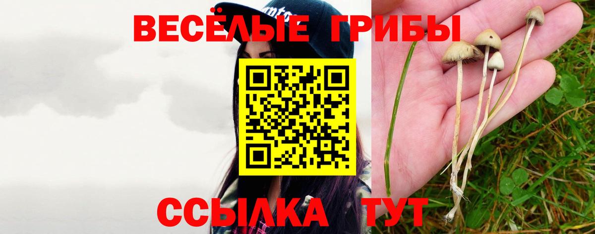 Кандалакша  Псилоцибиновые грибы Magic Shrooms  Вход с VPN 